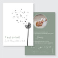 Faire-part de naissance Graines de bonheur