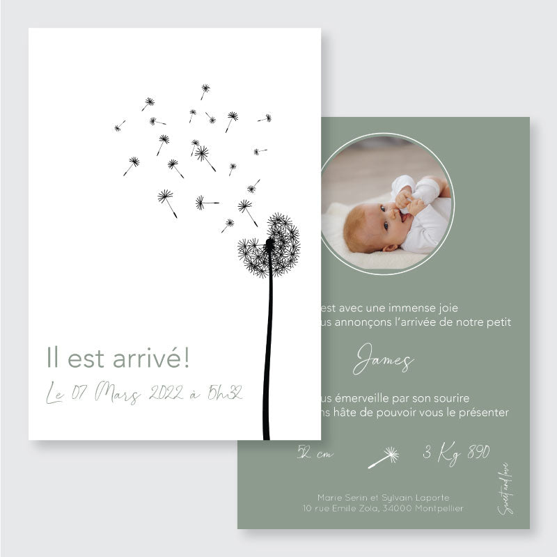 Faire-part de naissance Graines de bonheur